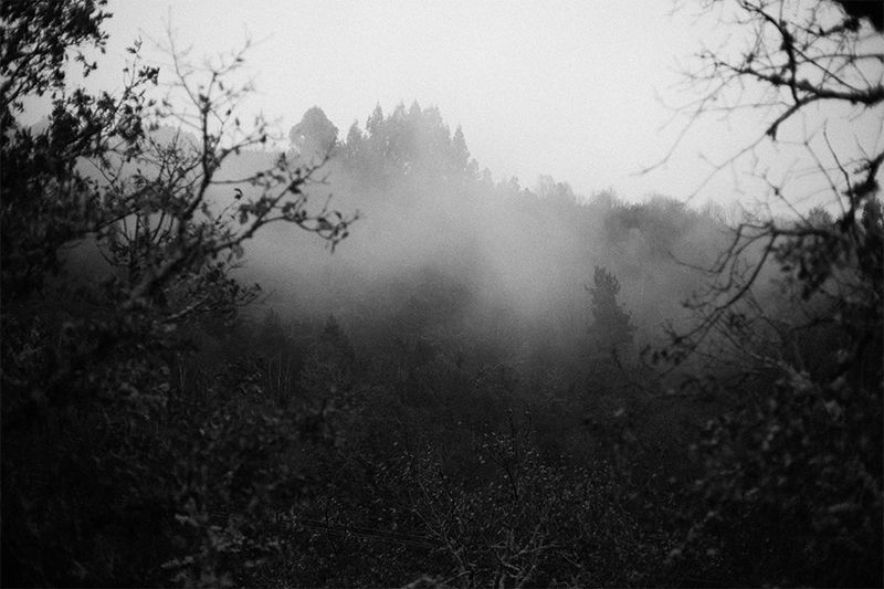 © Laia Abril, from the series Lobismuller