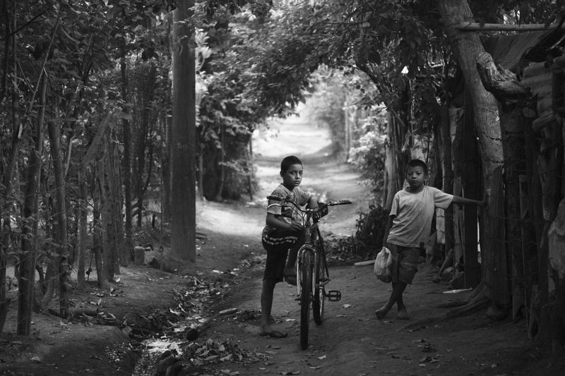 © Joshua McDonald (2017 winner)