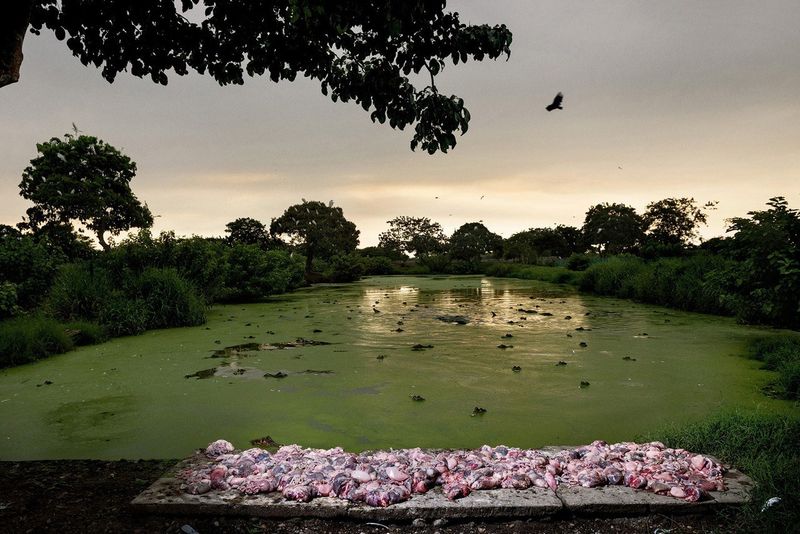 © Paolo Marchetti, from the series The Price of Vanity. Winner of the 2016 POYi Photographer of the Year award
