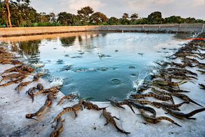 February Photography Awards