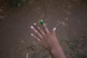 A Mixe Flower by Christian Rodriguez 