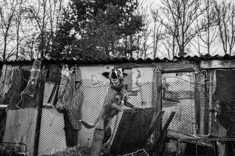 © Hannes Jung - Image from the How is Life? photography project
