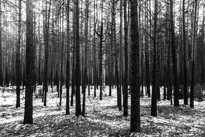 © Hannes Jung - Image from the How is Life? photography project