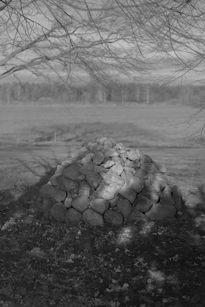 © Hannes Jung - Memorial stones for a killed wolf from 1848. Near Trebendorf, March 29th 2019.