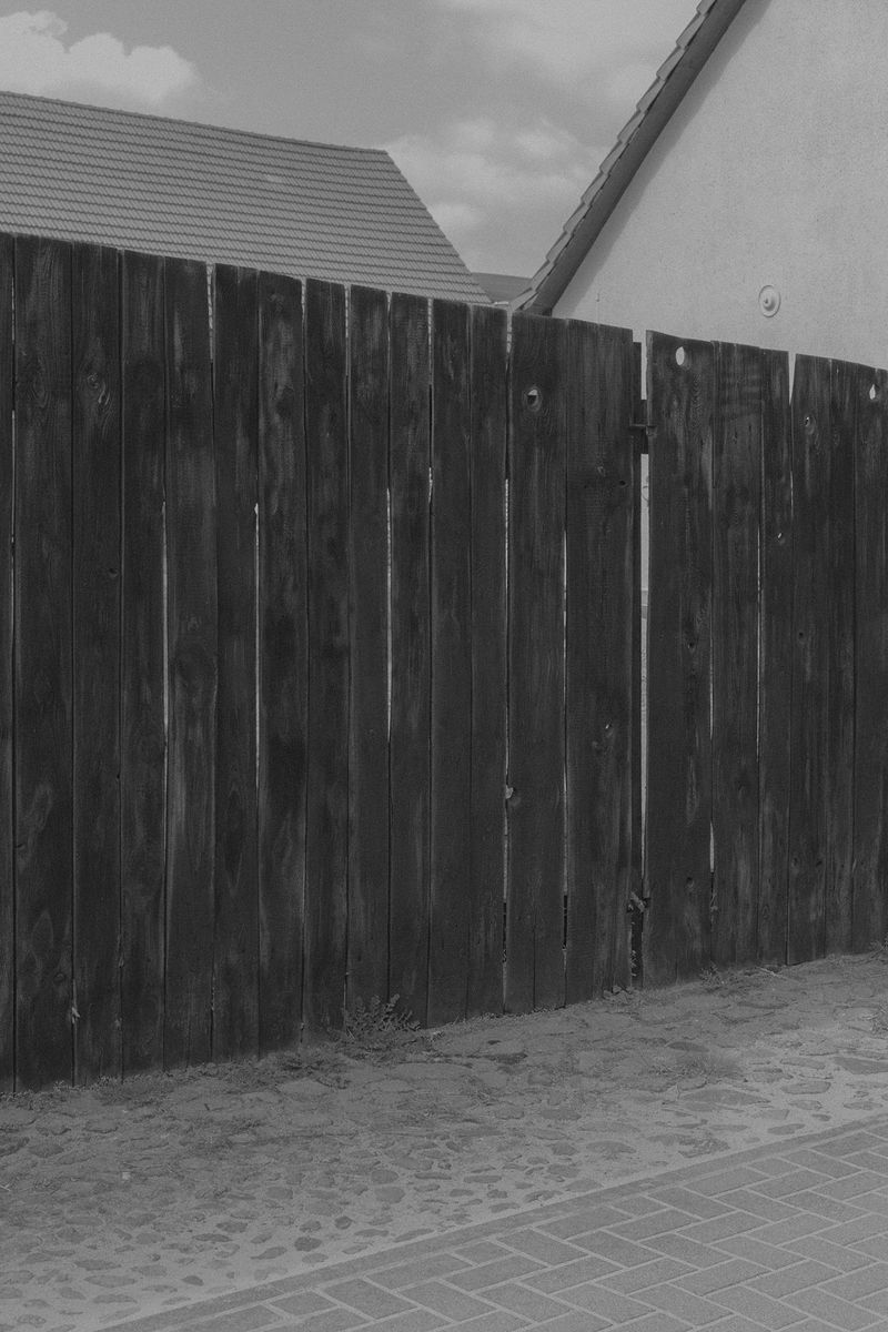 © Hannes Jung - Fence at a street where a wolf was seen, Joachimsthal, Brandenburg, April 9th 2019.