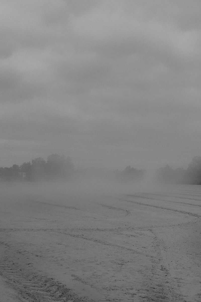 © Hannes Jung - Wind brings dust a field next to the memorial for a killed wolf Bad Fallingbostel Lower Saxony, June 27th 2019.