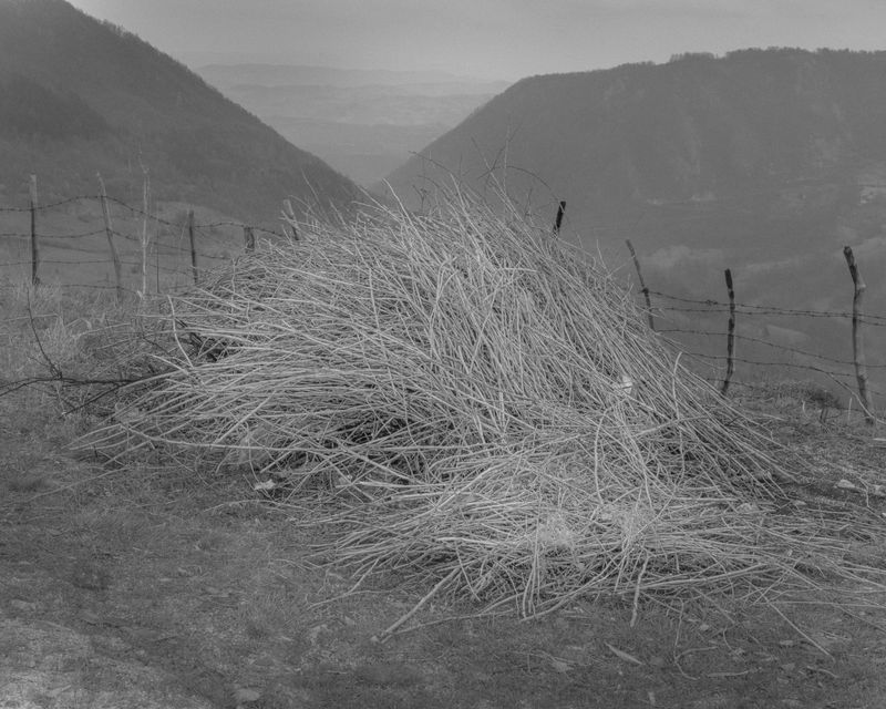 © Hannes Jung - Wodden branches, near Vlasenica, April 4th 2018.
