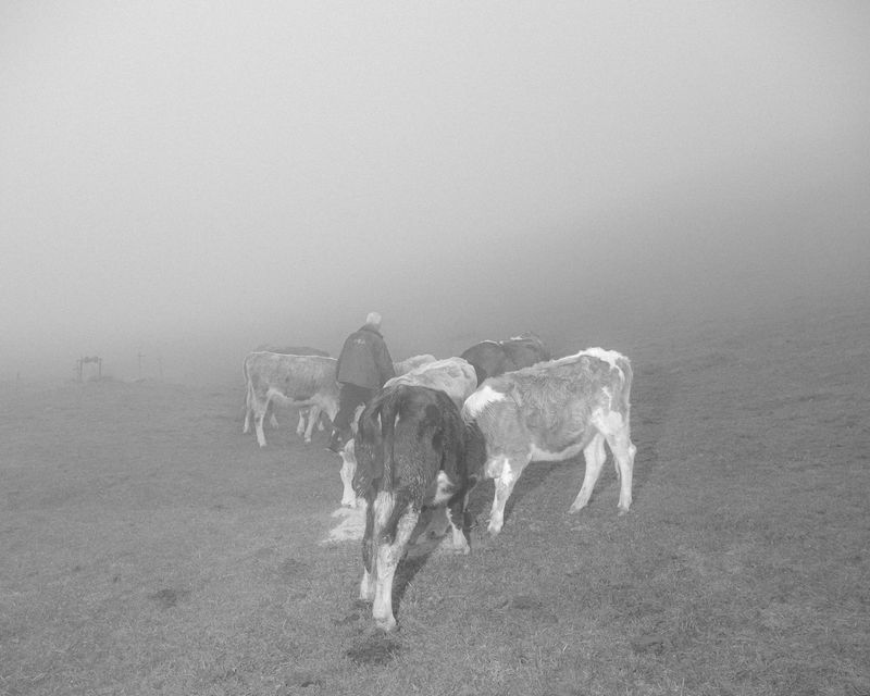 © Hannes Jung - Image from the Men don't cry photography project