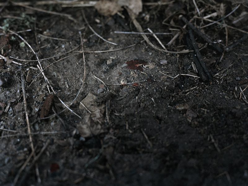 © Alina Bobrova - Image from the Poisonous Soil photography project