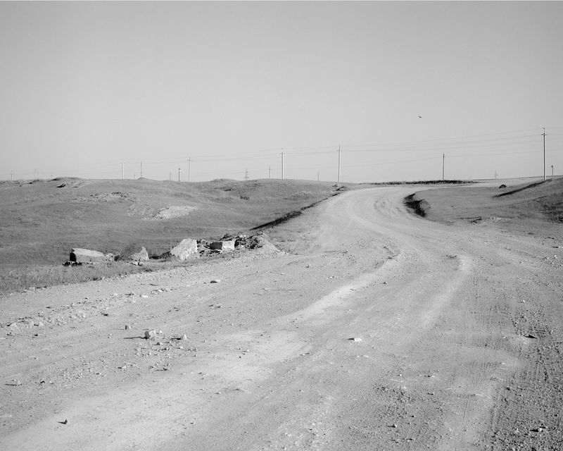© Alina Bobrova - Eagles Soaring The Thermals Overhead While Skylark Song Fills The Air.