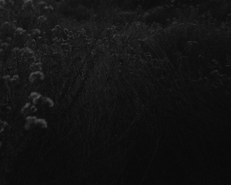 © Alina Bobrova - Nights Never Felt So Dark & Empty.