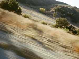 The Calling of The Steppes