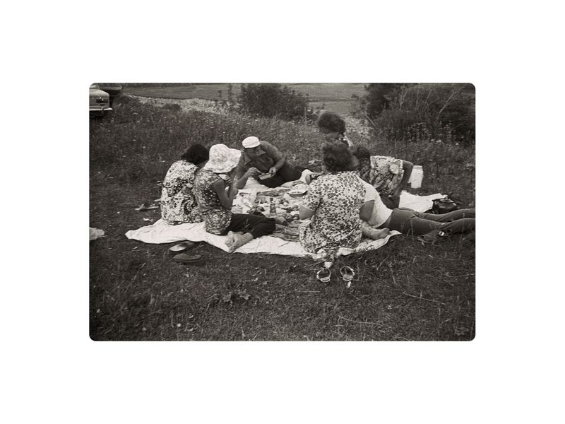 © Alina Bobrova - Picnic.