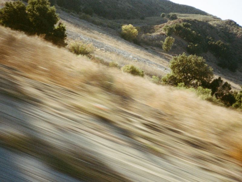 © Alina Bobrova - On The Road.