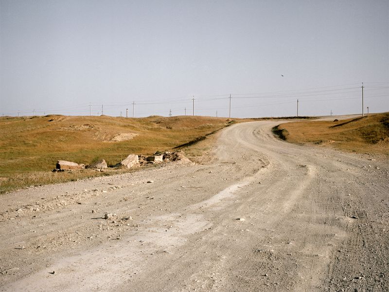 © Alina Bobrova - Eagles Soaring The Thermals Overhead While Skylark Song Fills The Air.
