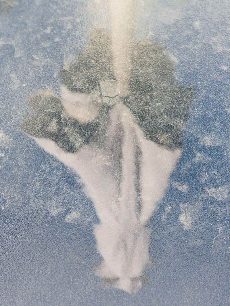 © Marina Bezrukova - Image from the In Stillness photography project