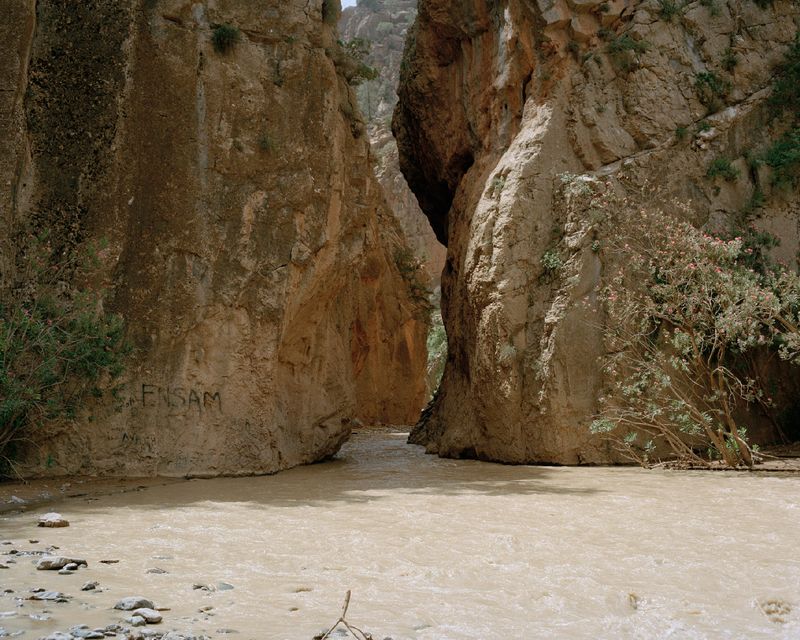 © Naïma Lecomte - Image from the Bergerie De Faucon photography project