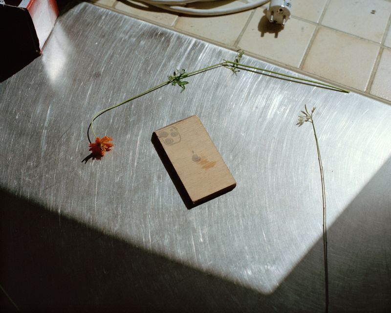 © Naïma Lecomte - Image from the Bergerie De Faucon photography project