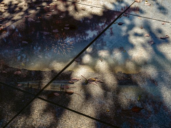 © Jiayue Yu - Image from the Afterimages photography project