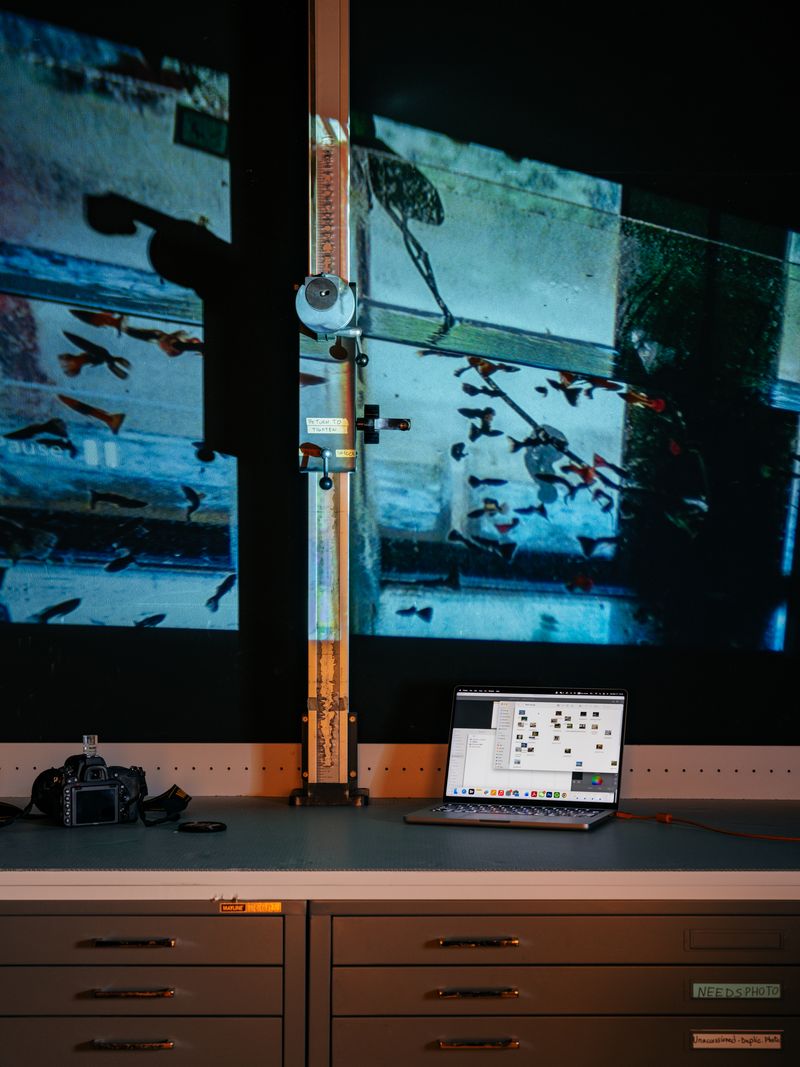 © Jiayue Yu - Image from the Afterimages photography project