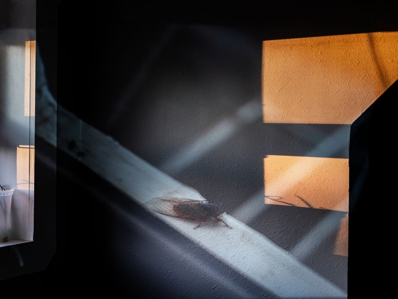 © Jiayue Yu - Image from the Afterimages photography project