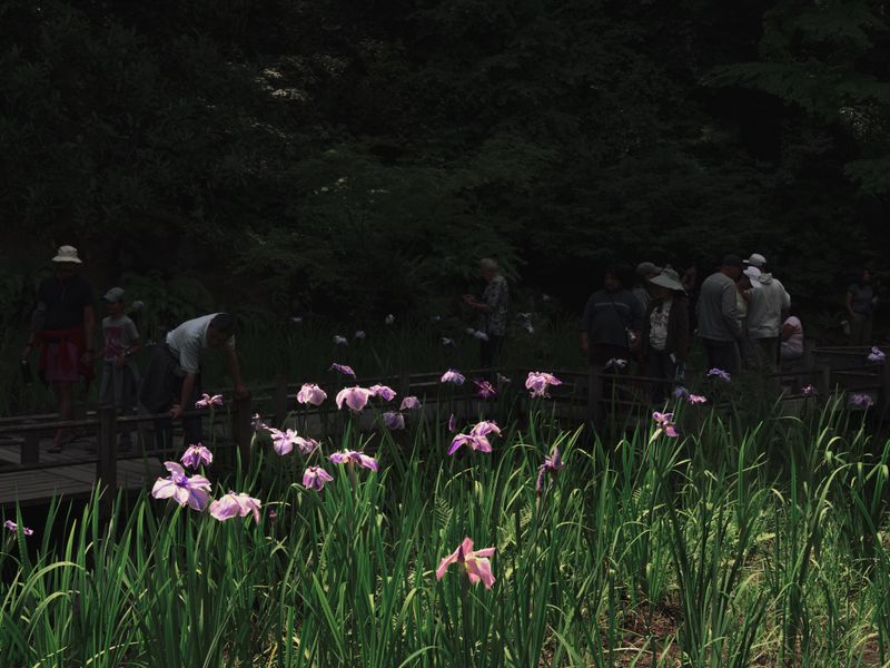 © Jiayue Yu - Image from the Worn Out Joy photography project