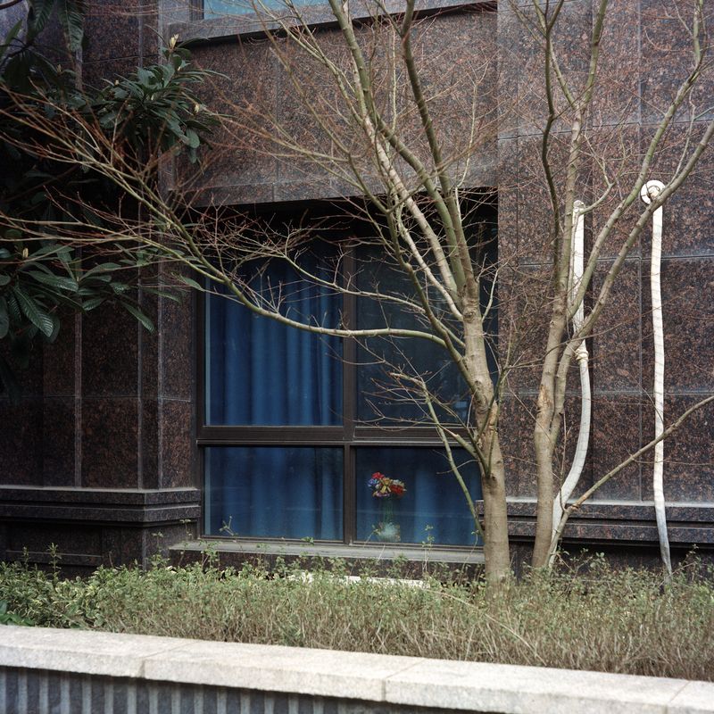 © Jiayue Yu - Untitled