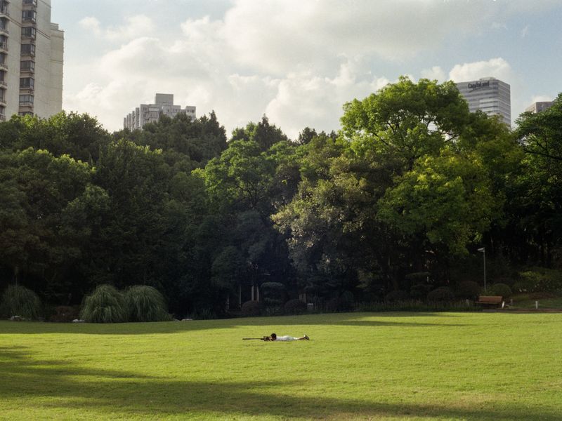 © Jiayue Yu - Snake In the Grass