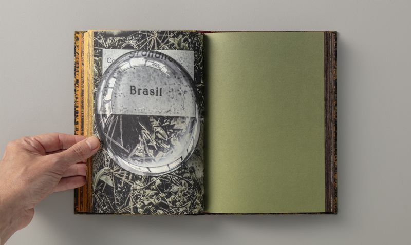 © Elaine Pessoa - Image from the Transitus Naturalis photography project