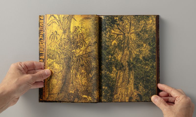 © Elaine Pessoa - Image from the Transitus Naturalis photography project