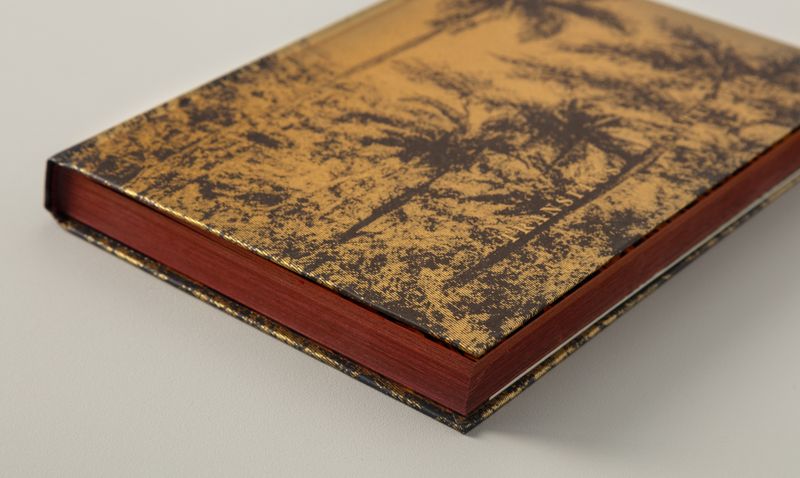 © Elaine Pessoa - Image from the Transitus Naturalis photography project