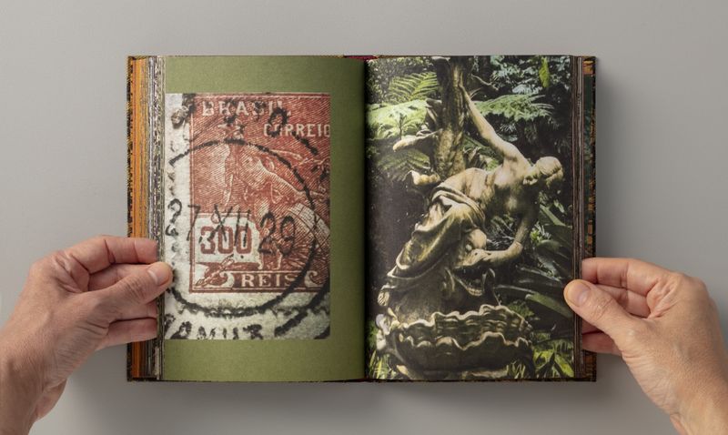 © Elaine Pessoa - Image from the Transitus Naturalis photography project