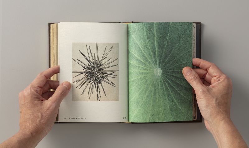 © Elaine Pessoa - Image from the Exploratorius photography project