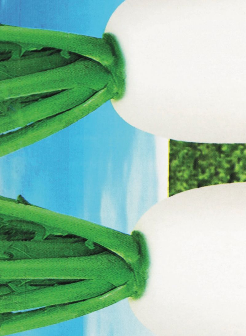 Image from a project on PhMuseum