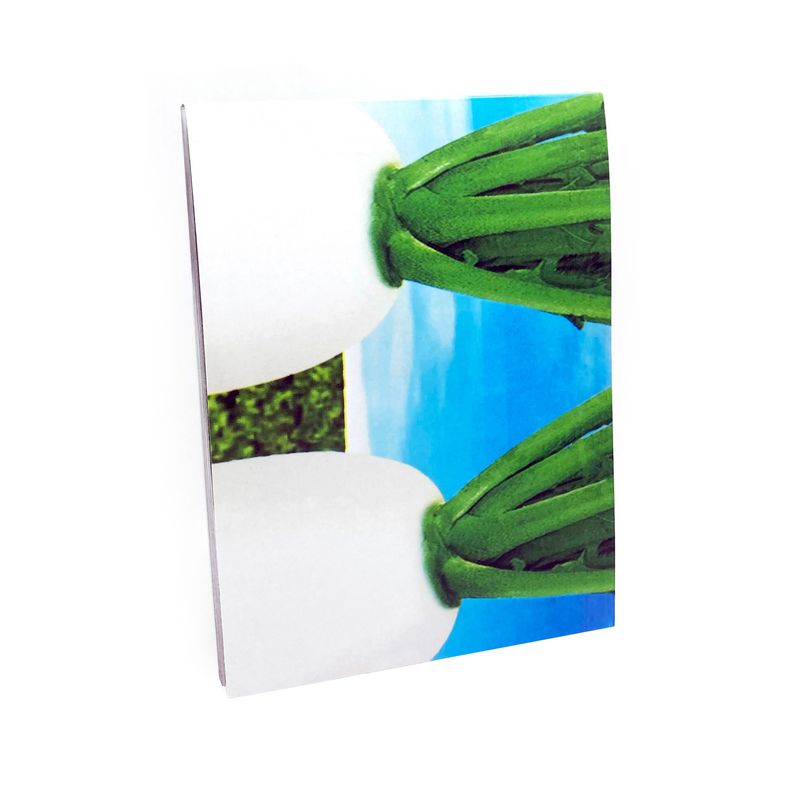 Image from a project on PhMuseum