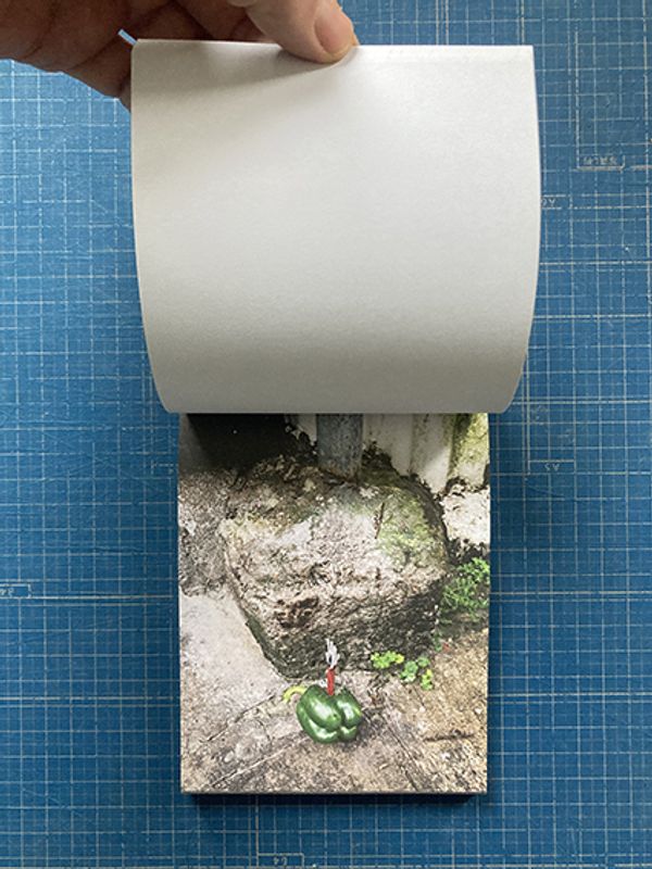 Image from a project on PhMuseum