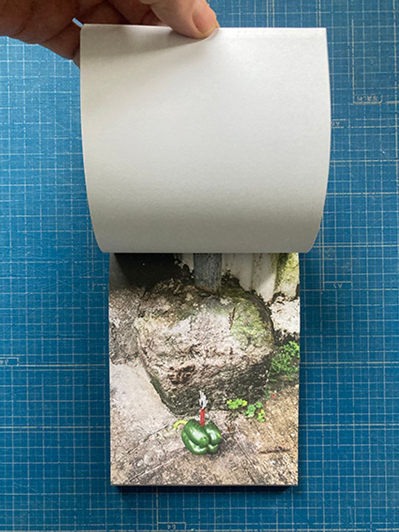 Image from a project on PhMuseum