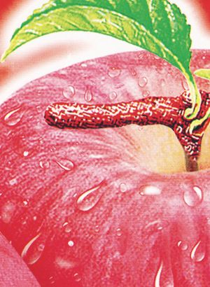 One a day by Pierfrancesco Celada