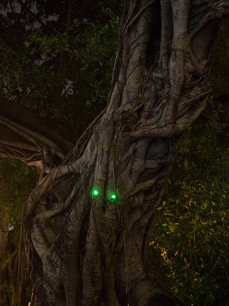 Image from a project on PhMuseum