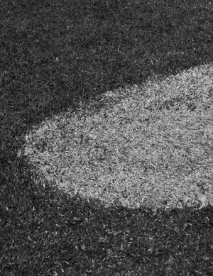 When I feel down I take a train to the Happy Valley by Pierfrancesco Celada