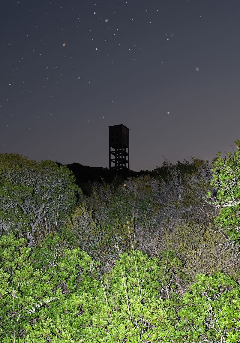 © Leonardo Magrelli - Image from the The Plant photography project