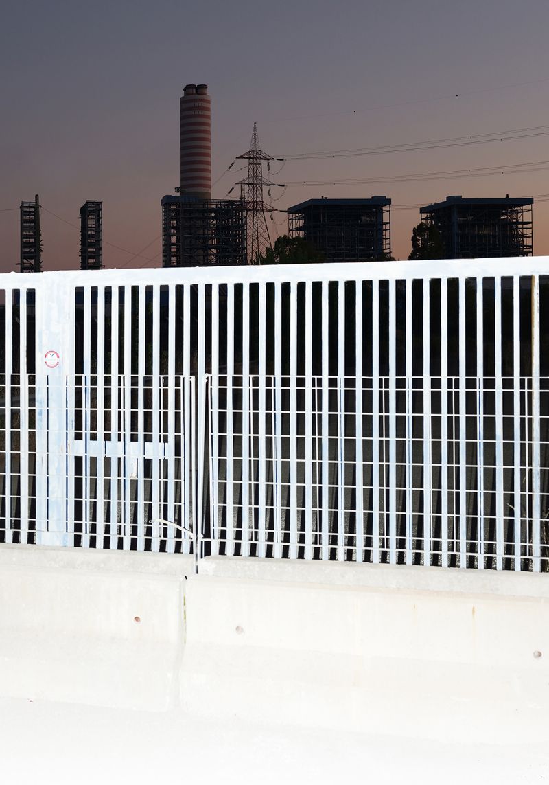 © Leonardo Magrelli - Image from the The Plant photography project