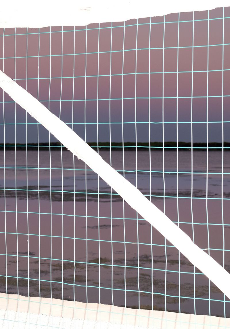 © Leonardo Magrelli - Image from the The Plant photography project