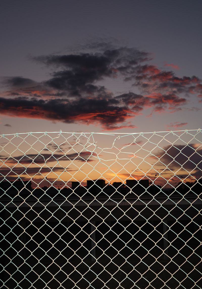 © Leonardo Magrelli - Image from the The Plant photography project