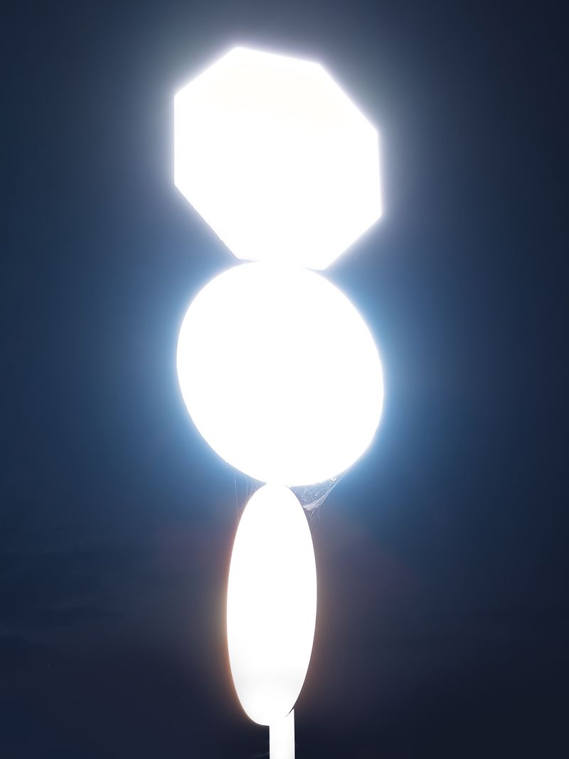 © Leonardo Magrelli - Image from the The Plant photography project