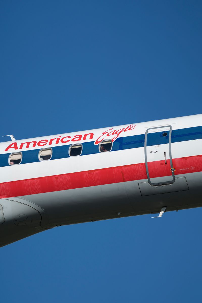 © David Rothenberg - Landing Lights Portrait (American Eagle)