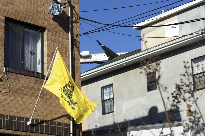 © David Rothenberg - Untitled (Don't Tread on Me)