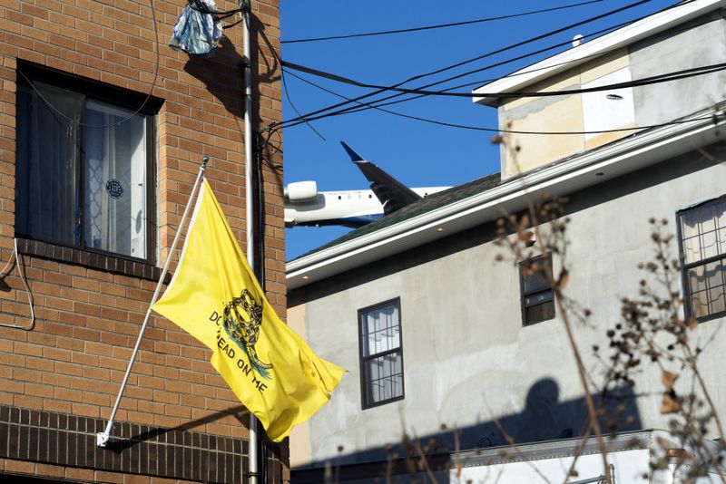 © David Rothenberg - Untitled (Don't Tread on Me)