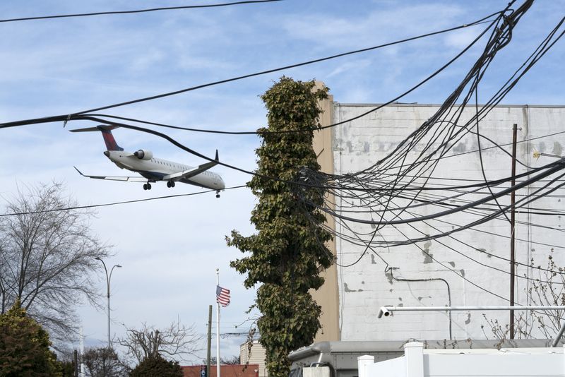 © David Rothenberg - Wires and Ivy (Alley)