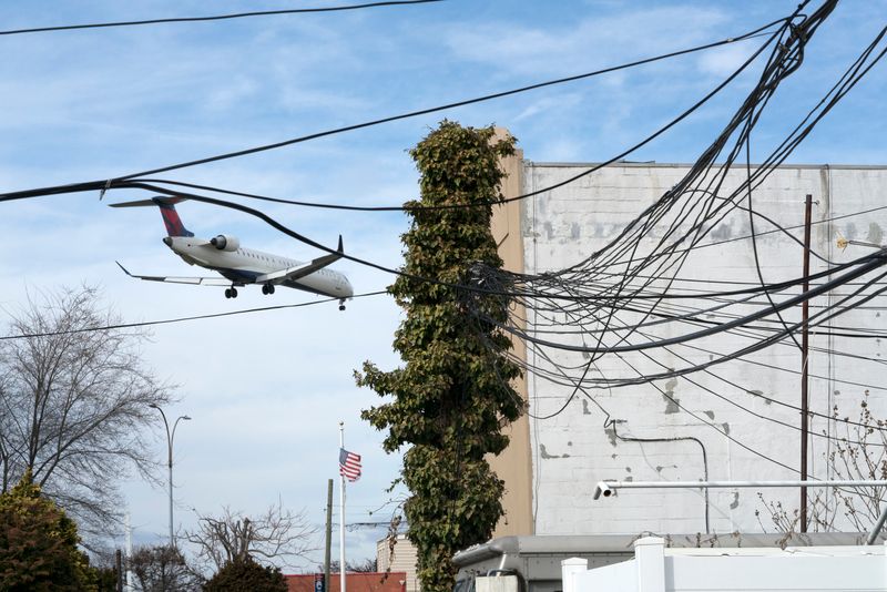 © David Rothenberg - Wires and Ivy (Alley)